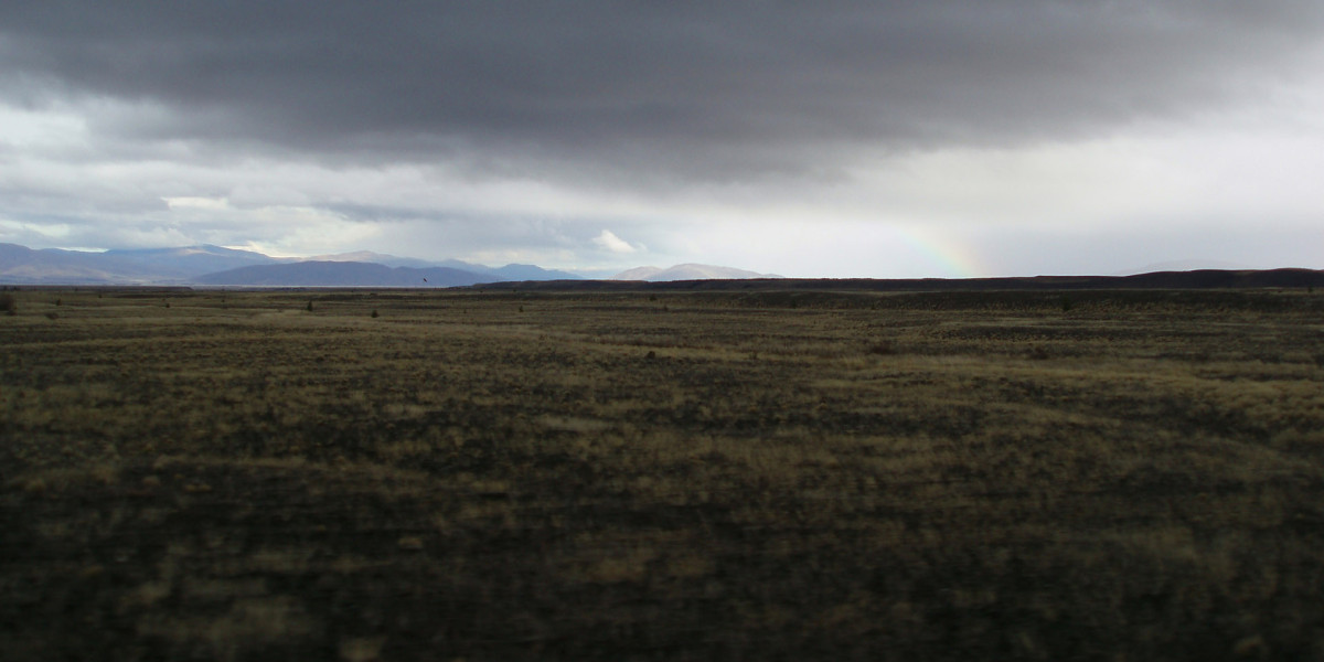 How To Buy Dbol The King Of Bulking Steroids