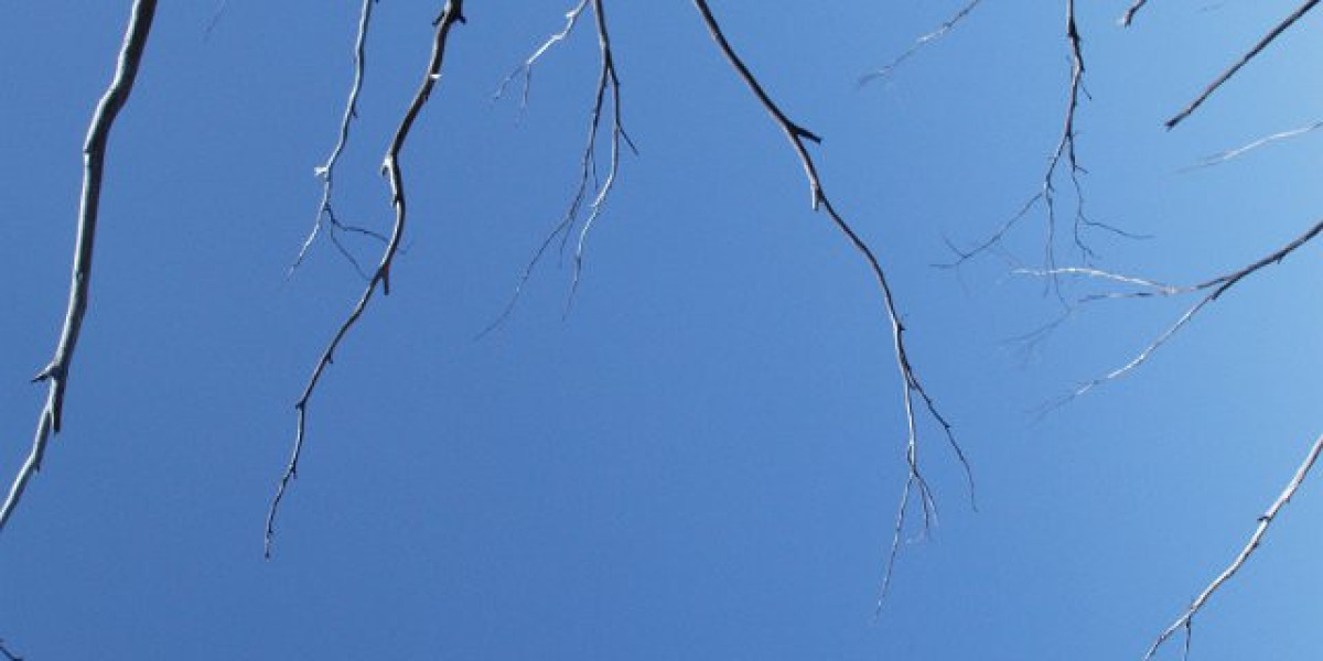 Wachstumshormon: Wirkungen und Regulation
